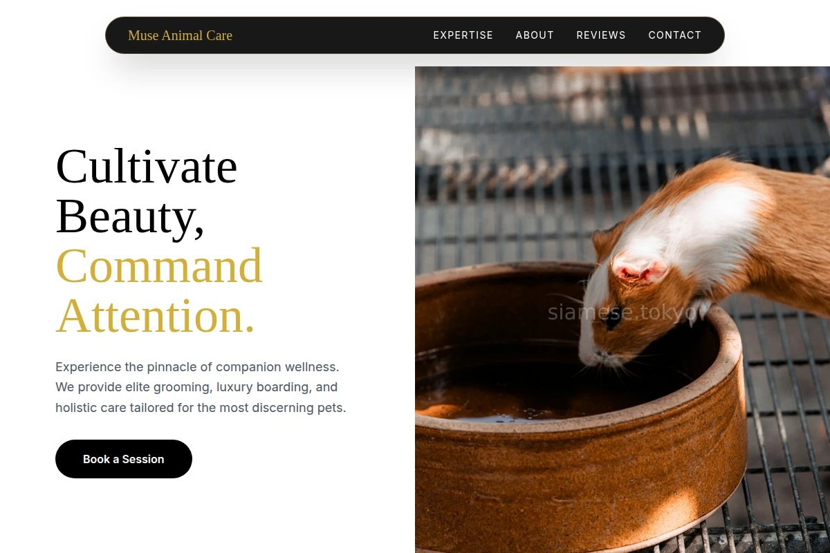 Muse Animal Care