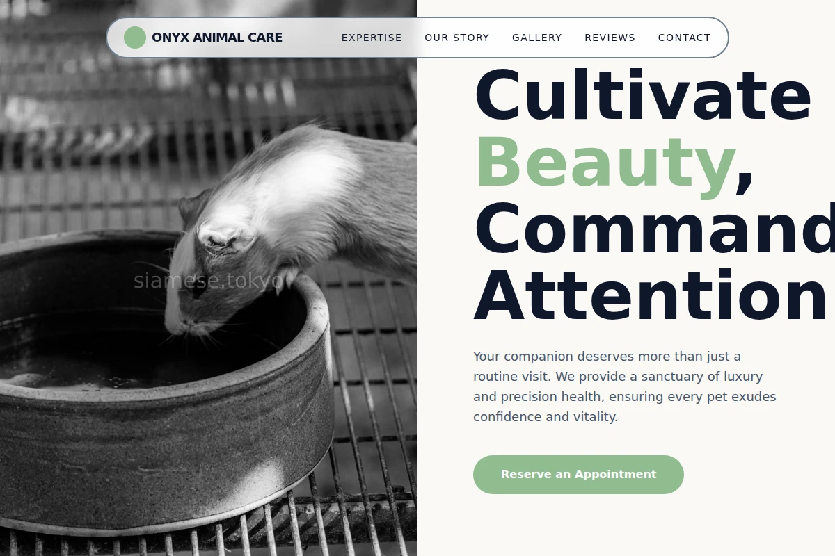 Onyx Animal Care