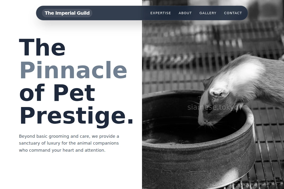 Silk Animal Care