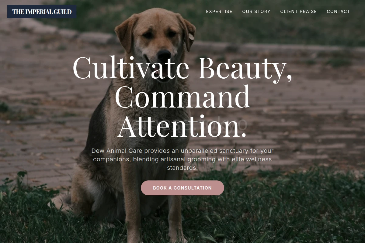 Dew Animal Care
