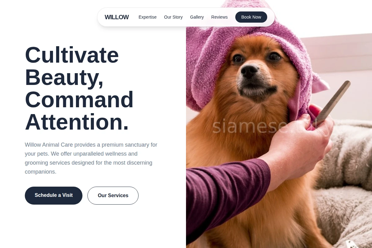 Willow Animal Care