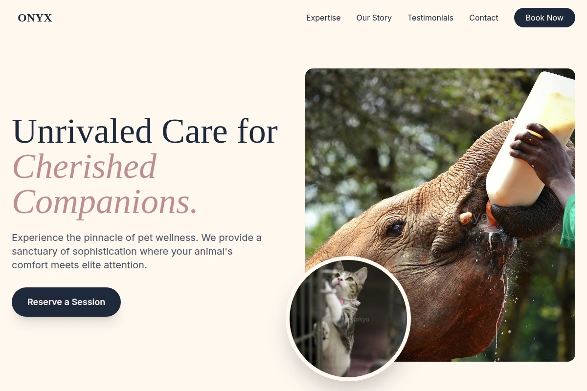 Onyx Animal Care