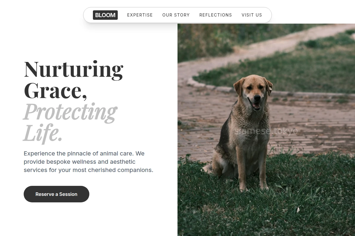 Bloom Animal Care