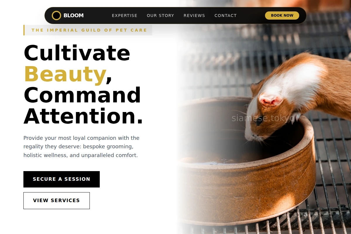 Bloom Animal Care