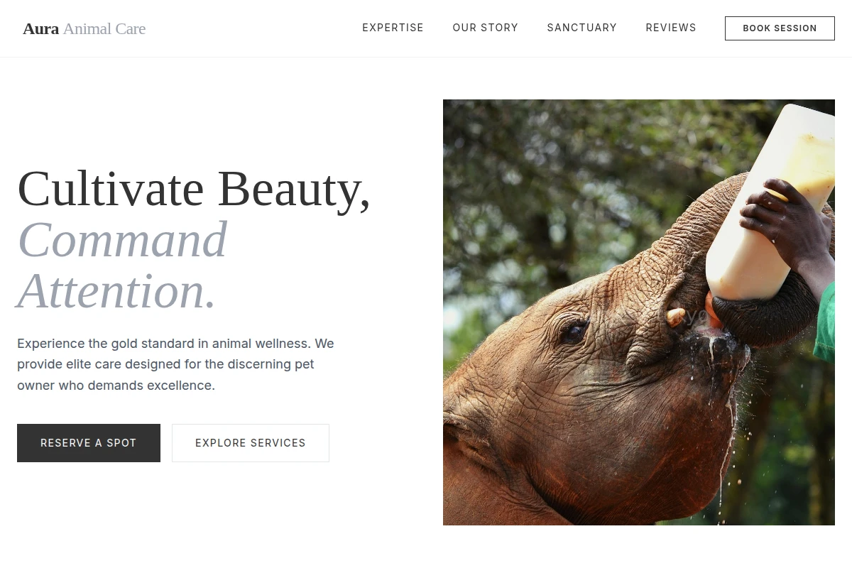 Aura Animal Care