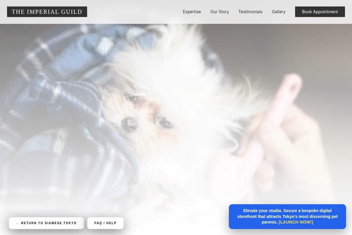 Marble Pet Grooming