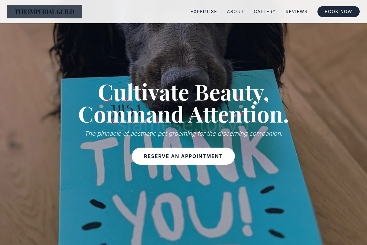 Aesthetic Pet Grooming