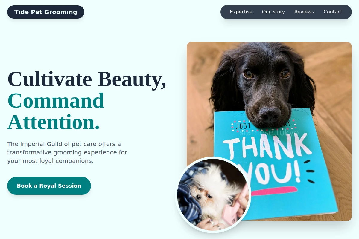 Tide Pet Grooming
