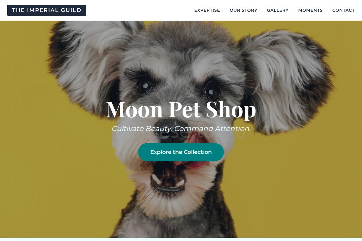 pet-shop